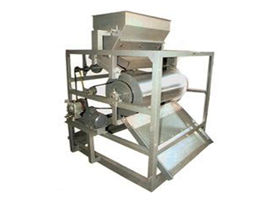 Permanent Magnetic Separator